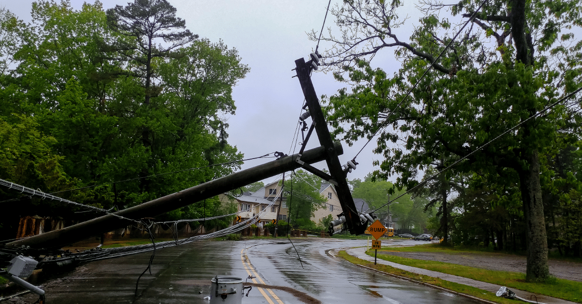 Image of a fallen power pole leaning over a wet road with the surrounding trees and houses in the background.